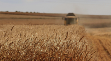 A combine harvester in a golden wheat field — March Talent Partners
