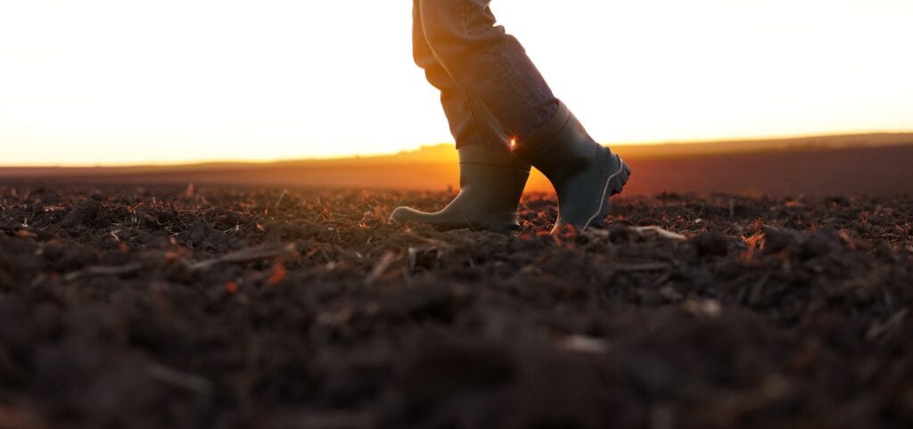 Close-up of a farmer's rubber boots walking across a ploughed paddock at sunrise