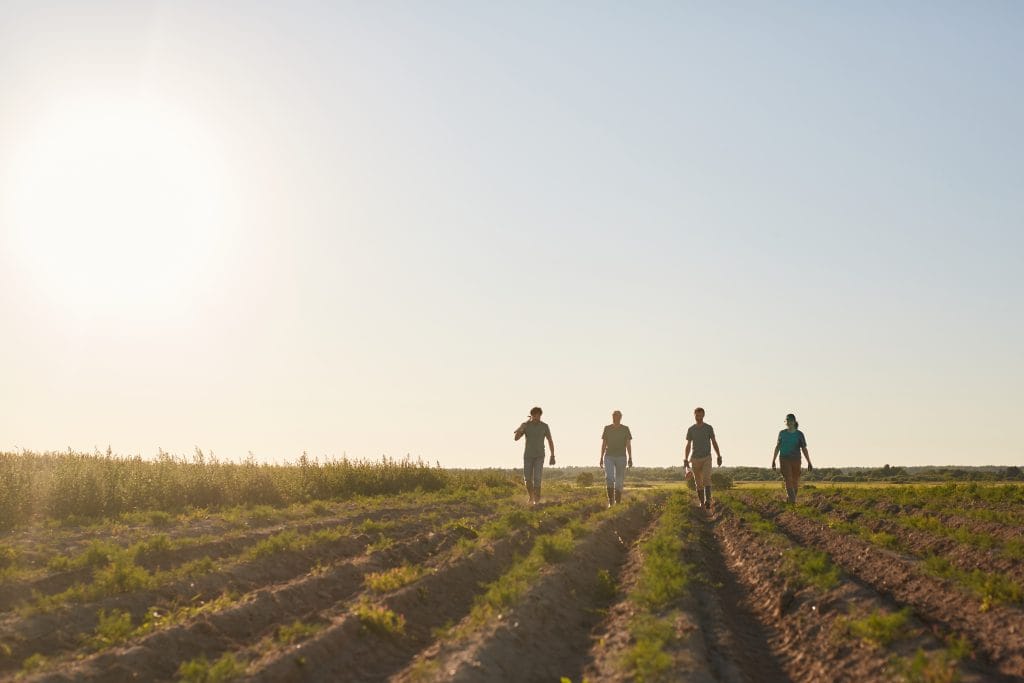 Four workers walking through crop rows in a vast agricultural field at golden sunset