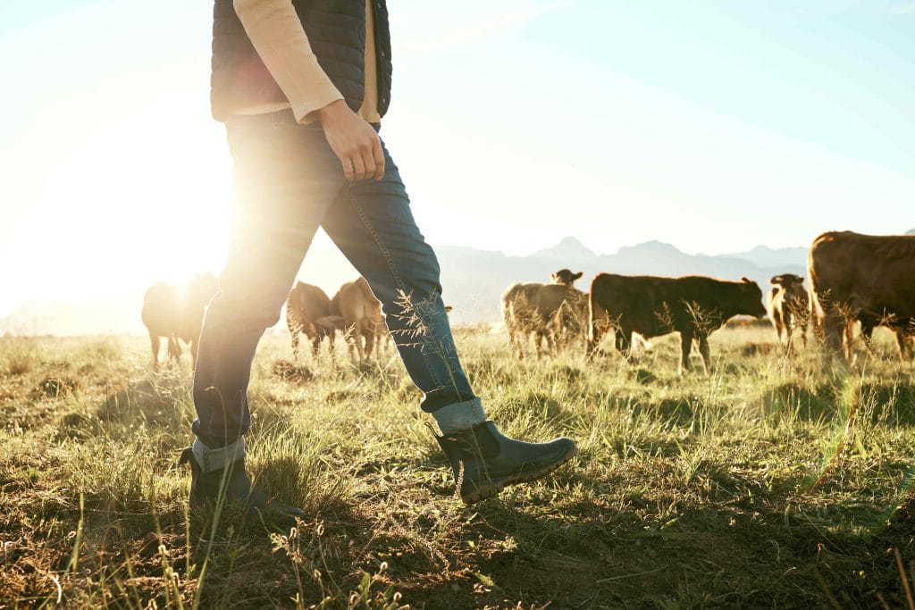 RHS farm-countryside-and-farmer-with-cow-and-field-fo-2026-03-25-03-39-35-utc (2)